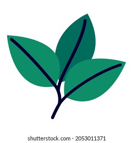 three green leaves over white