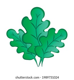 Tres hojas de roble verde sobre un fondo cuadrado blanco. El estilo es gráfico. Un mundo submarino fabuloso.