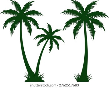 Three green palm trees, different sizes, tropical island plants, vacation theme, summer, nature design element