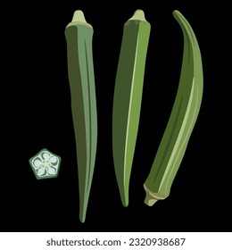 Three green ripe pods or fruits of okra and one cut slice. Abelmoschus esculentus. On black background.