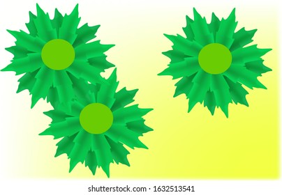 Three green star-flowers, with big middle, on the white and yellow background