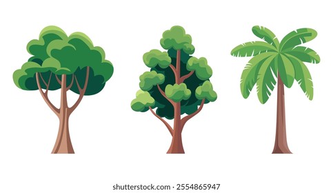 Three green trees stand tall a broadleaf deciduous and palm.