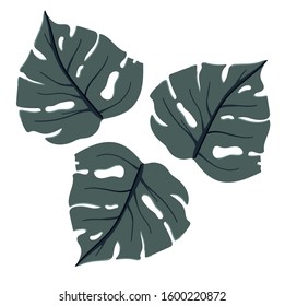 three green tropical leaves vector