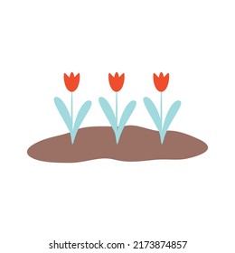 three growing tulips vivid vector illustration
