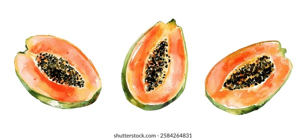 Three halves of ripe papaya fruit isolated vector clipart illustration. Papaya with rich orange flesh, greenish skin, and a cluster of dark seeds in the center.