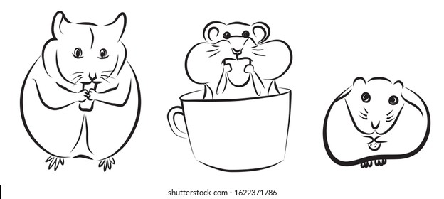 three hamsters, freehand linear drawing
