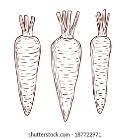 three hand drawn carrots isolated on white. Black and white graphic style