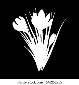 Three hand drawn crocus flowers. Elegant vintage card. Black and white silhouette. Vector
