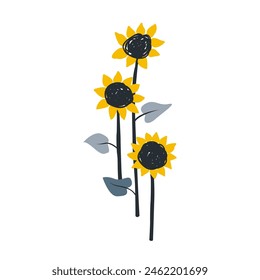 Three hand drawn stylish sunflowers with stems and leaves. Isolated flower composition. Vector illustration.