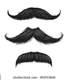 Three hand drawn vector mustaches. Fashionable old facial hair styles. 