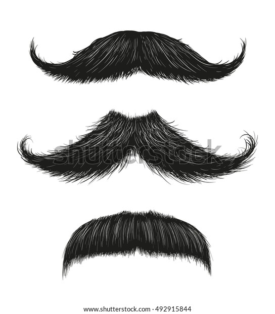 Three hand drawn vector mustaches. Fashionable old\
facial hair styles. 
