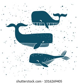 three hand drawn whales. vector illustration