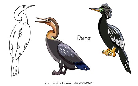 Three hand-drawn darters. These are slender waterbirds with long, thin necks and webbed feet. Their bodies are covered in dark plumage, with light stripes on the wings.