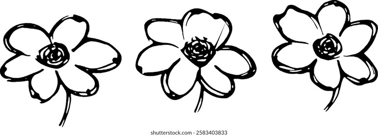 Three hand-drawn flowers with simple petals and circular centers, arranged in a row.