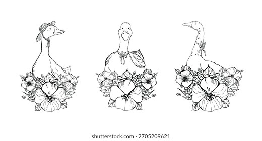 Three hand-drawn geese with ribbons surrounded by blooming flowers. Vintage ink-style linework on white background. Ideal for coloring books, greeting cards, stickers and prints.