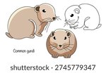 Three hand-drawn gundis. A small animal with a rounded body, short legs, small ears, and thick, sand-colored fur. The gundi