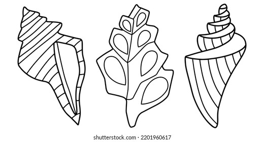 Three hand-drawn seashells black outline isolated on white