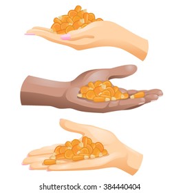 Three hands with corn grains in them on white background / Hands of Caucasian and African American people with corn grains in them 