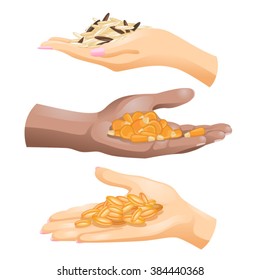 Three hands with different cereals in them on white background / Hands of Caucasian and African American people with rice, corn and wheat in them 