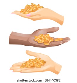 Three hands with wheat grains in them on white background / Hands of Caucasian and African American people with wheat grains in them 