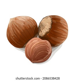 Tres avellanas aisladas sobre fondo blanco. Alimentos veganos brutos sanos. Ilustración vectorial.