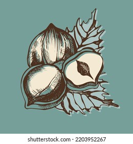 Tres avellanas de fondo turquesa. Ilustración vectorial dibujada a mano.