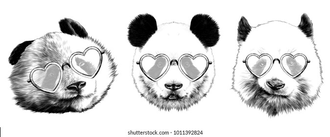 three heads are pandas different emotions with glasses lovers sketch vector graphics monochrome black-and-white drawing