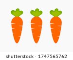 Three healthy carrots from vegetable garden. Raw food diet vector.