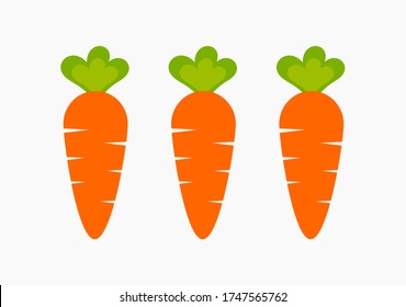 Three healthy carrots from vegetable garden. Raw food diet vector.