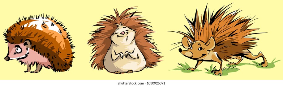 Three hedgehogs with different moods and views