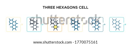 Three hexagons cell vector icon in 6 different modern styles. Black, two colored three hexagons cell icons designed in filled, outline, line and stroke style. Vector illustration can be used for web,