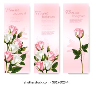 Three holiday banners with pink beautiful roses. Vector