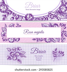 Three horizontal banners with briar.
Hand drawn sketch used. Fonts: Liberation Serif, Great Vibes (free license).