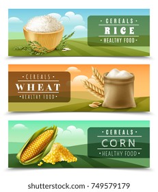 Three horizontal cereals banner set with rice wheat and corn healthy food descriptions vector illustration