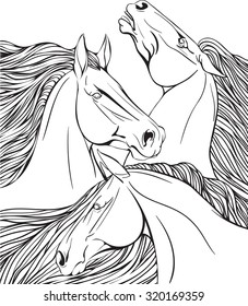 Three horses