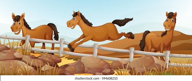 Tres caballos en la ilustración de campo