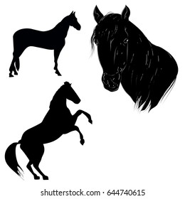 Three horses silhouettes. Vector illustration