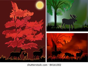 three illustrations with deers in forest