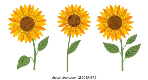 Three individual hand drawn vector sunflowers with varying foliage on green stems, isolated against a white background for summer and autumn floral design elements
