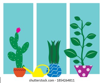 Three indoor plants in flower pots and a yellow watering can on the windowsill against the background of the window close up and space for copying