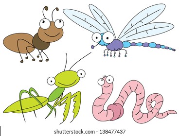 Three insect and worm