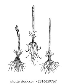 Three isolated, contour witches broom on white background. Design on halloween.