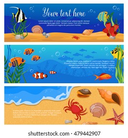 Three isolated horizontal sea life animals plants banner set with fish crabs and space for text vector illustration 