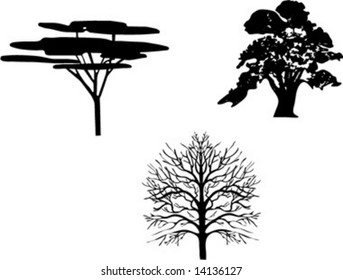 three isolated tree