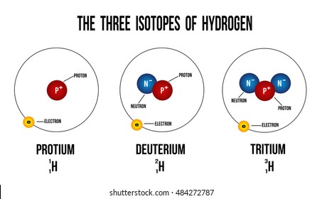 The three isotopes of hydrogen diagram (useful for education) - vector illustration