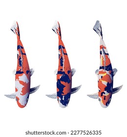 Three Japanese carps in front of a white background. 