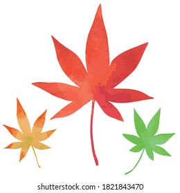 Three Japanese maple leaves. Green, yellow and orange. Watercolor painting.
