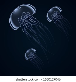 Three jellyfish swim in dark water.
