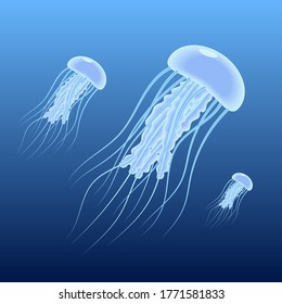 Three jellyfish swimming from the depths to the surface.