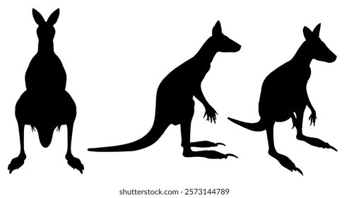 Three kangaroos are shown in silhouette, with one standing on its hind legs and the other two sitting on their hind legs. The kangaroos are all facing the same direction